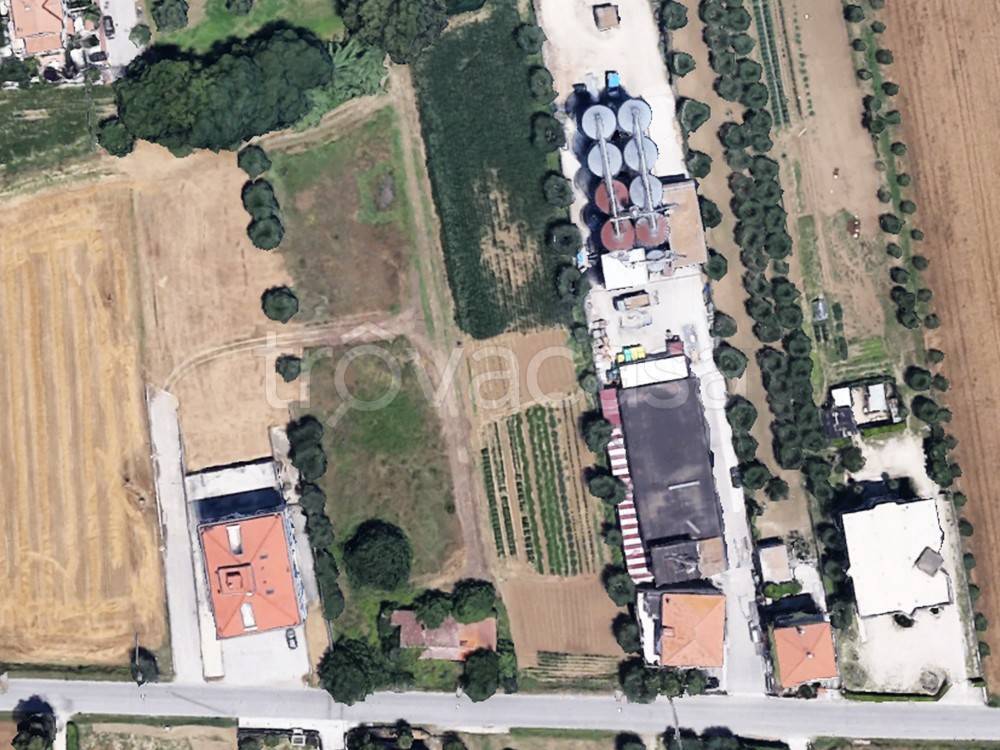 immagine annuncio 3 di 8