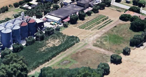 immagine annuncio 6 di 8