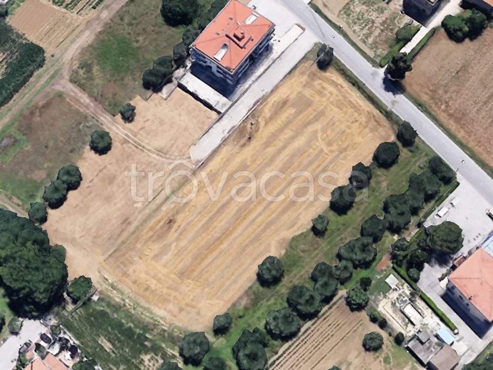 immagine annuncio 2 di 8