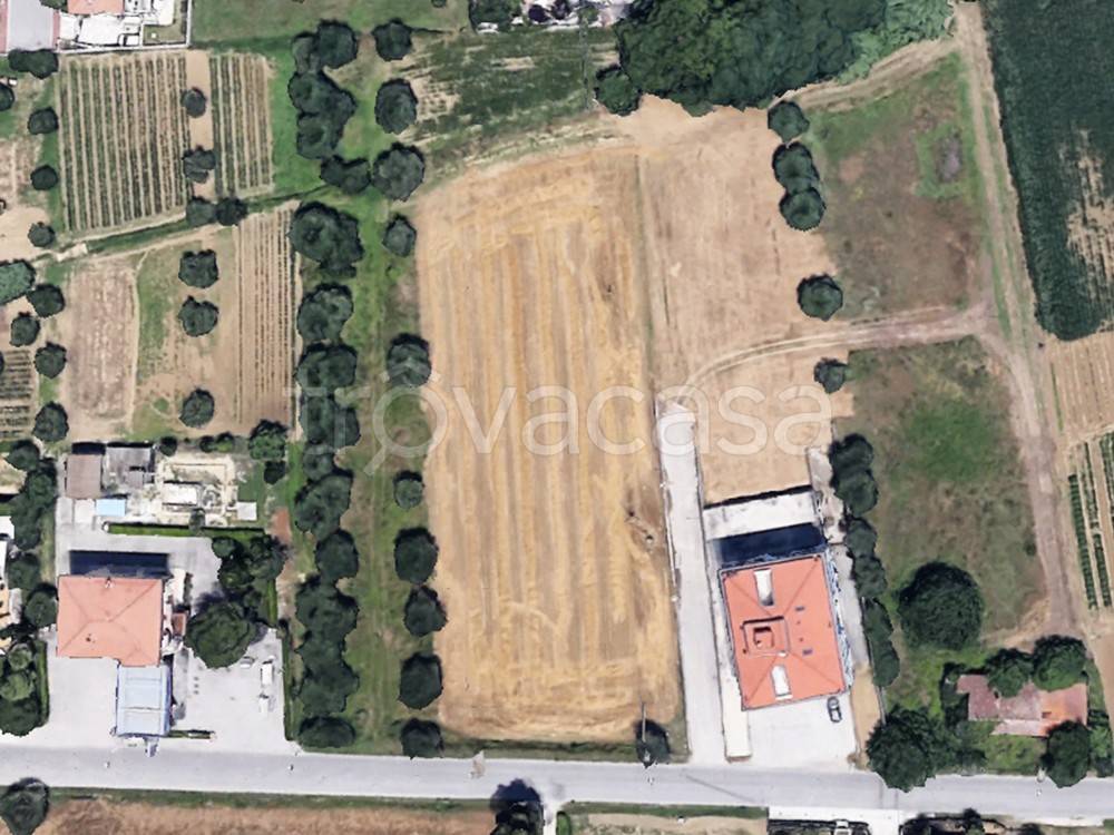 immagine annuncio 3 di 8