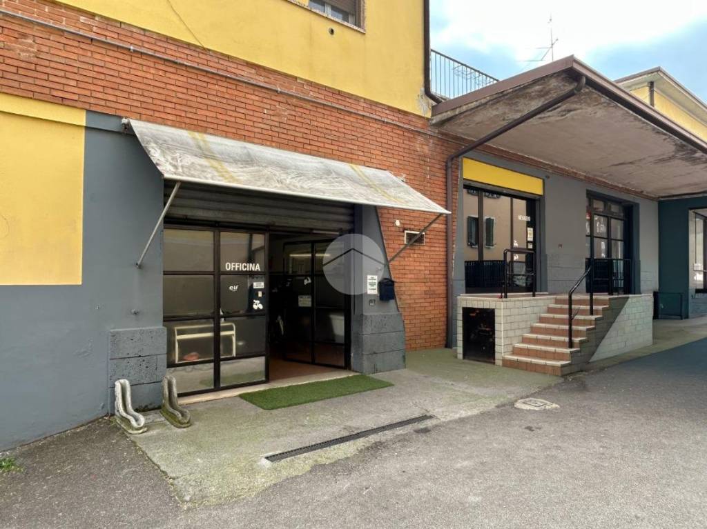 immagine annuncio 12 di 15