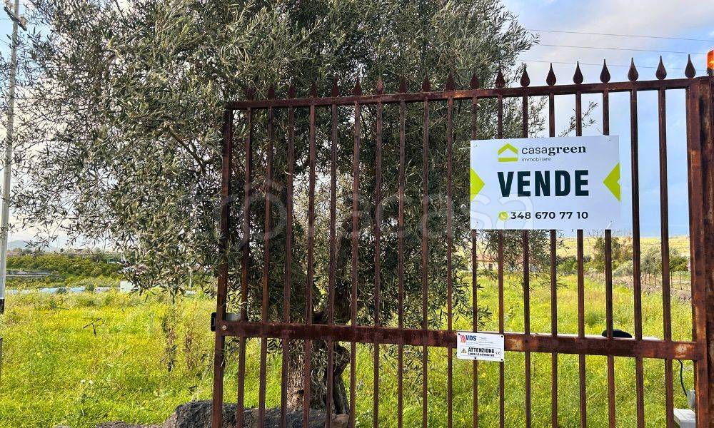 immagine annuncio 1 di 8