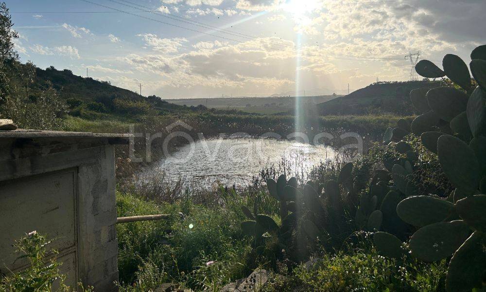 immagine annuncio 4 di 8