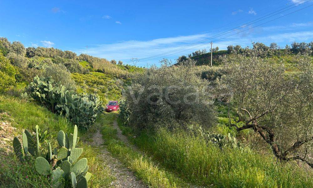 immagine annuncio 5 di 8