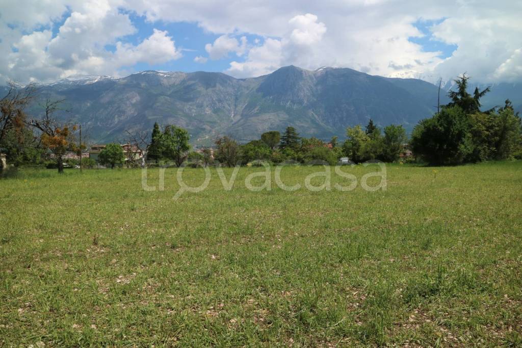 immagine annuncio 3 di 11