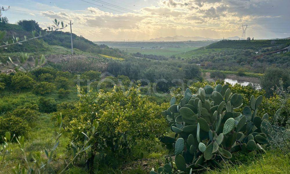 immagine annuncio 7 di 8