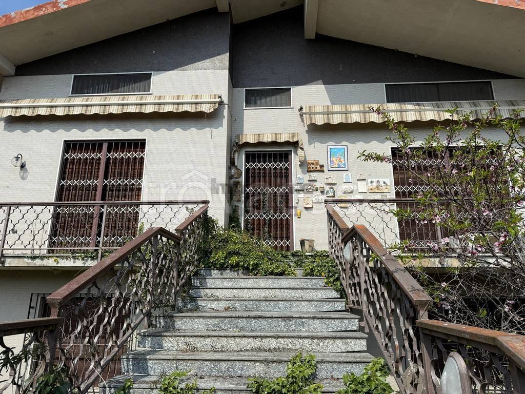 immagine annuncio 12 di 15