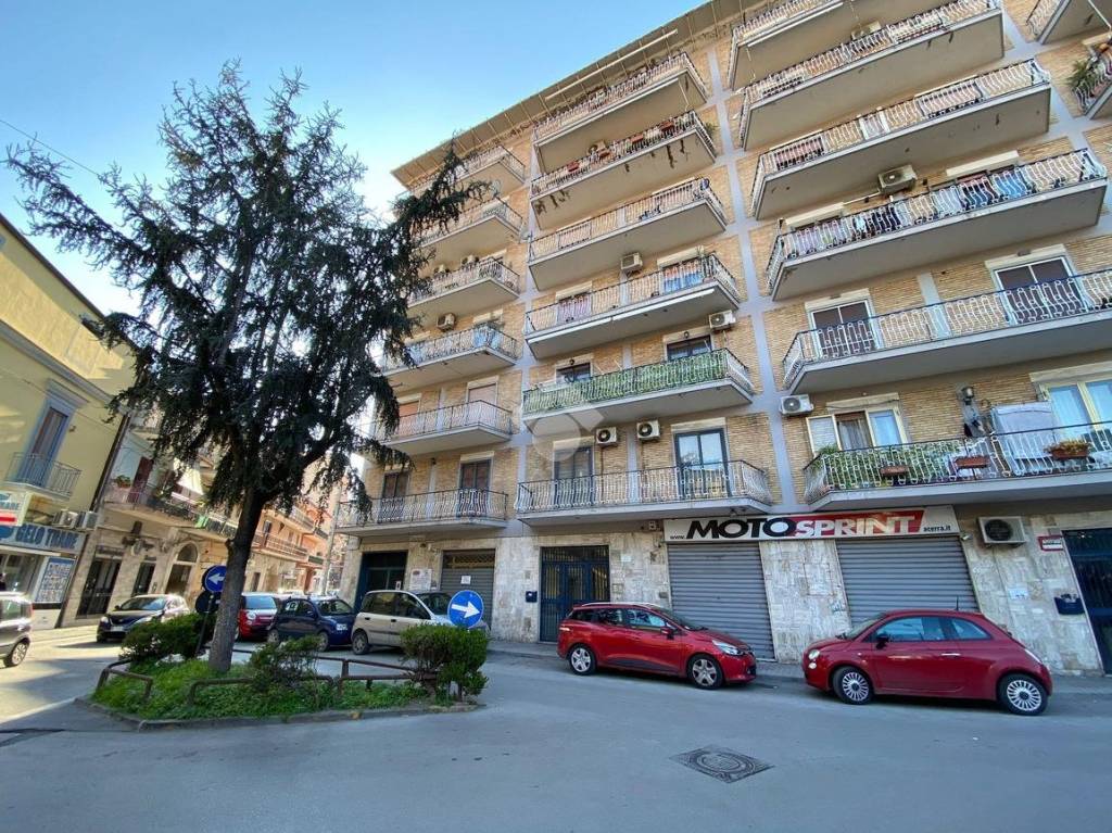 immagine annuncio 5 di 13