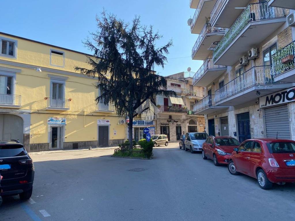 immagine annuncio 12 di 13