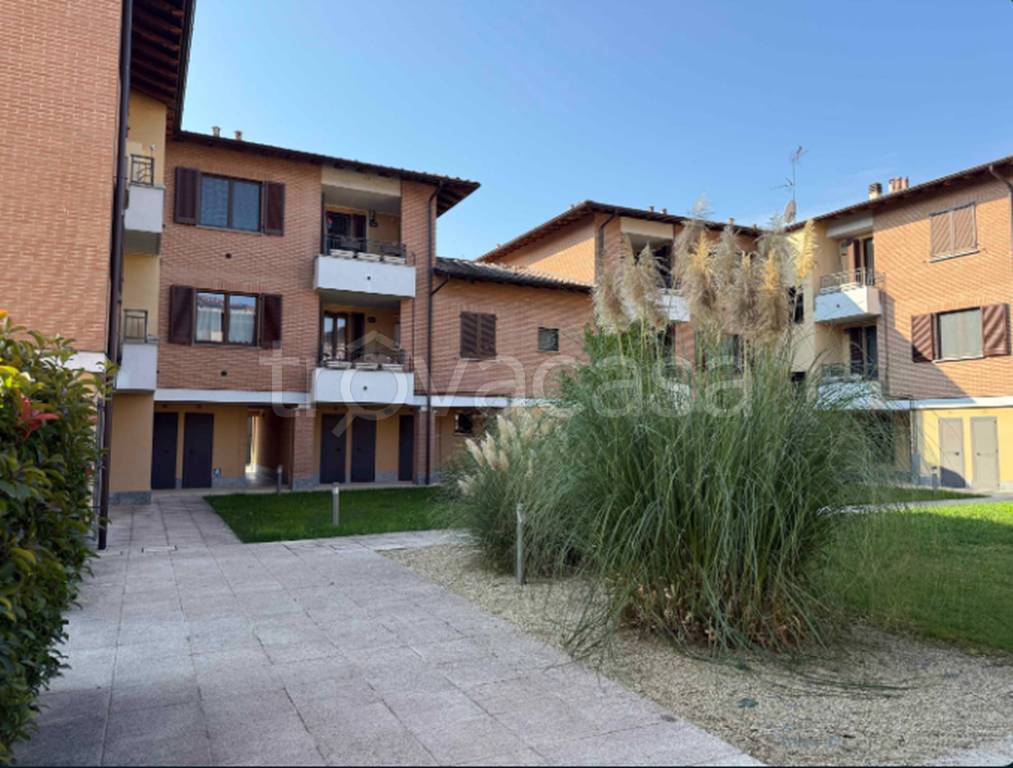 immagine annuncio 8 di 11