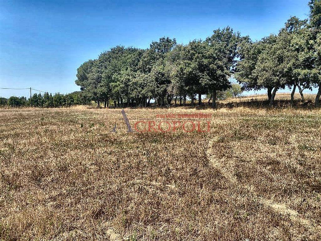 immagine annuncio 5 di 14