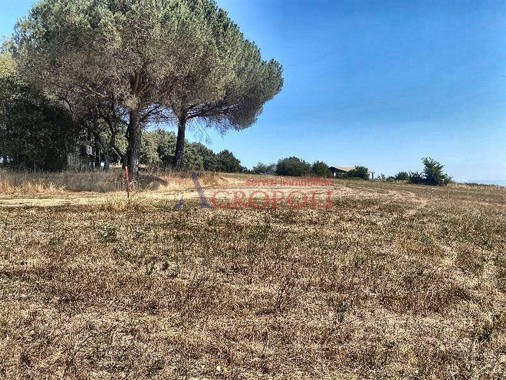 immagine annuncio 6 di 14