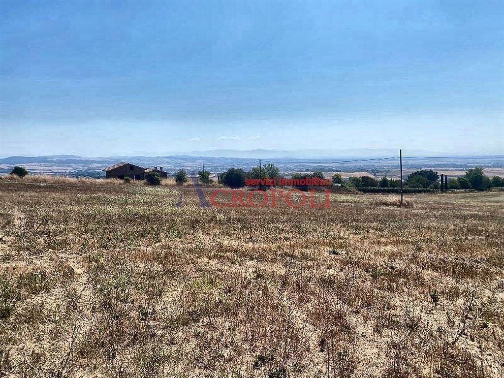 immagine annuncio 10 di 14