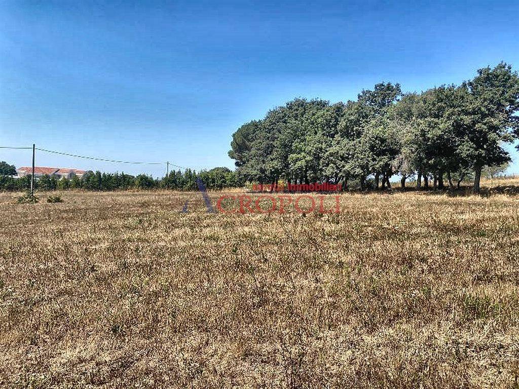 immagine annuncio 11 di 14