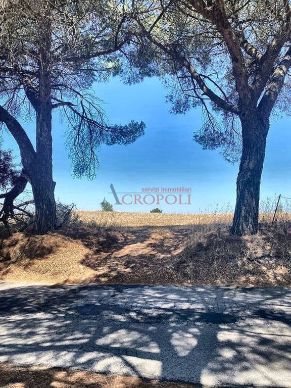 immagine annuncio 13 di 14