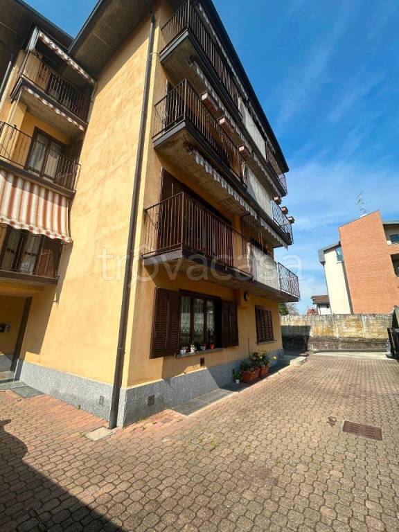 immagine annuncio 1 di 15