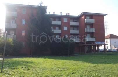 immagine annuncio 5 di 13