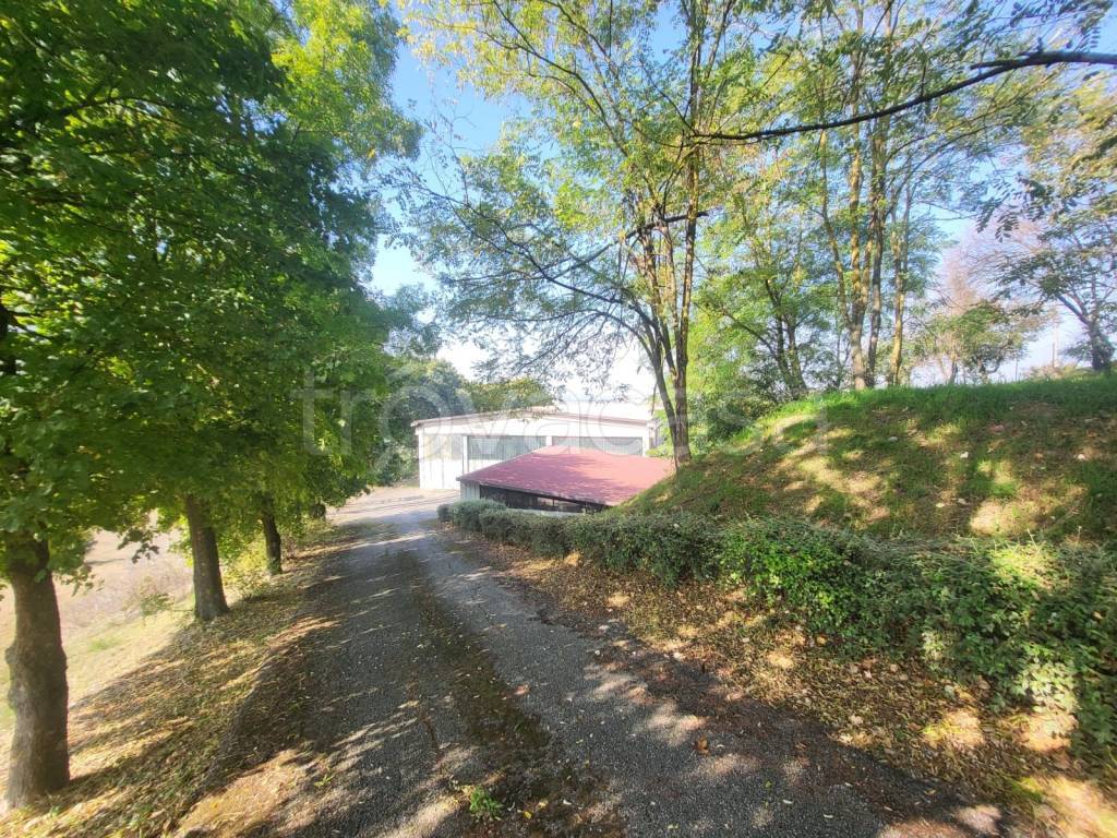 immagine annuncio 1 di 3