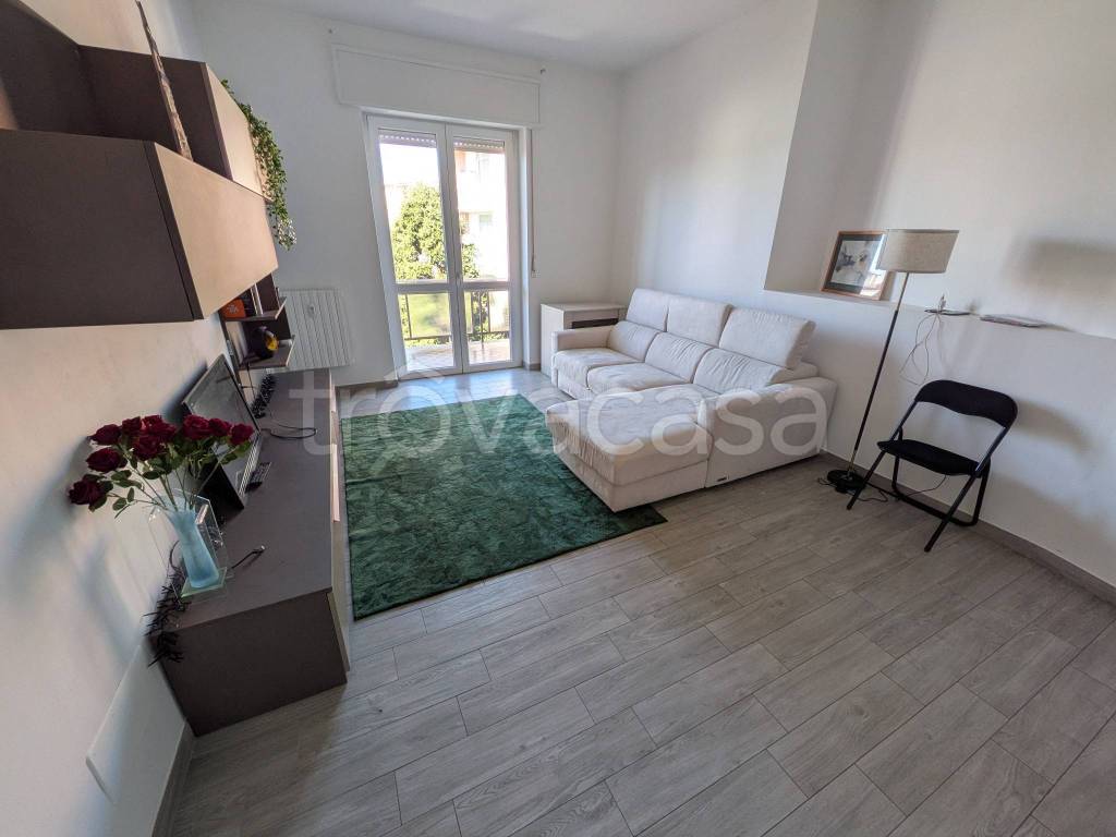 immagine annuncio 2 di 14