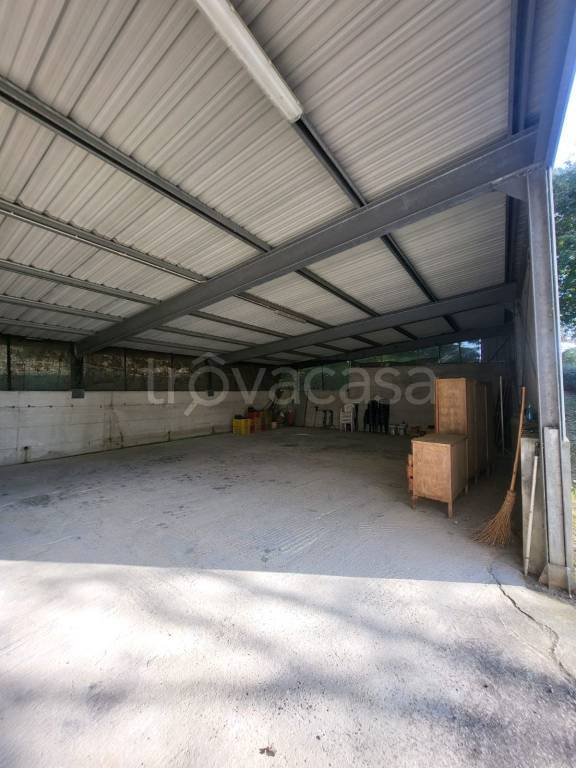 immagine annuncio 2 di 3