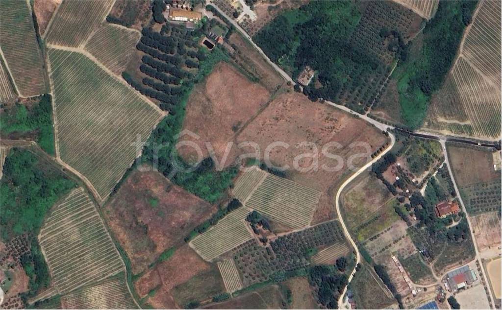 immagine annuncio 3 di 9