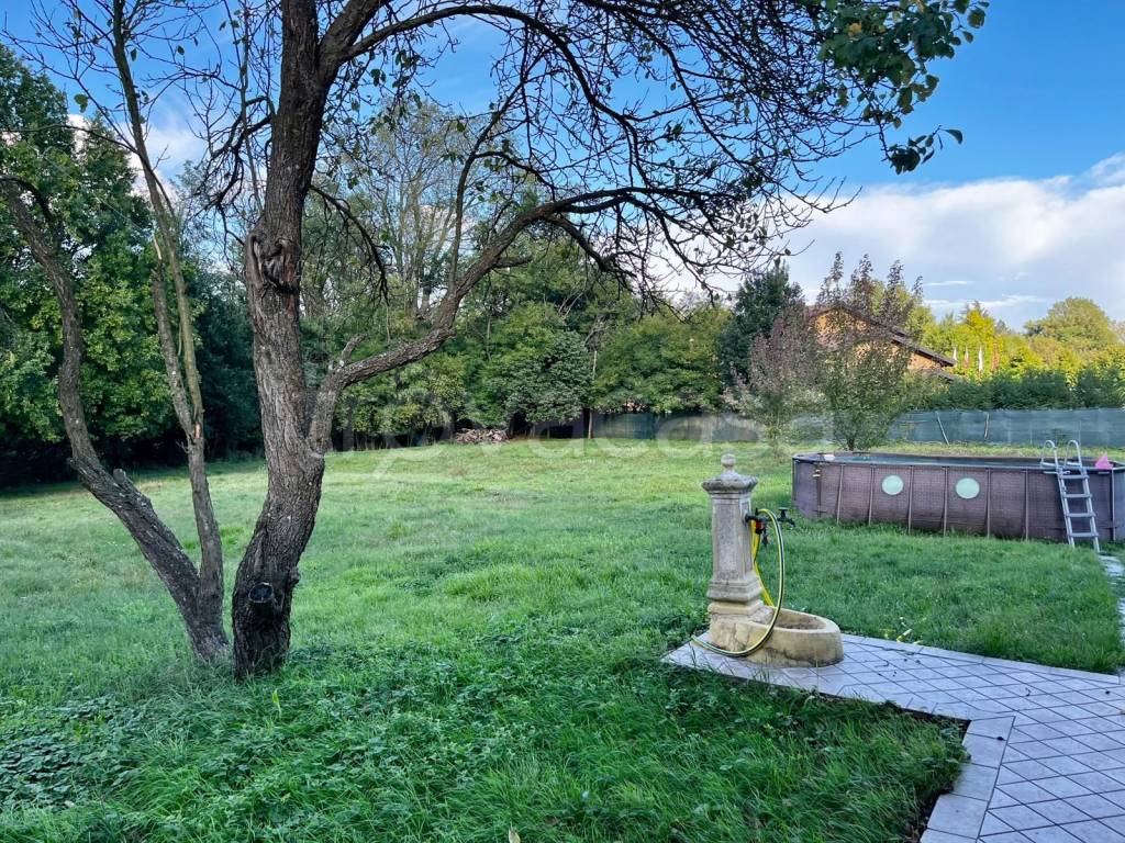 immagine annuncio 12 di 13