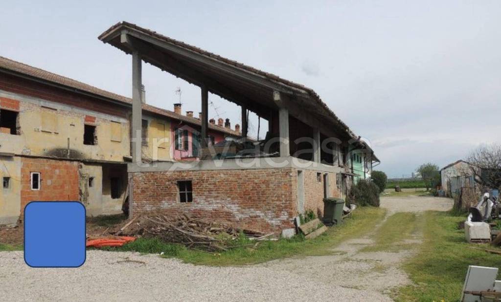 immagine annuncio 5 di 11