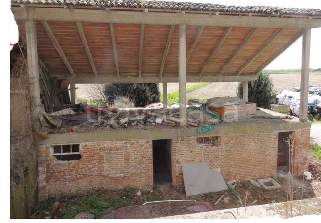 immagine annuncio 6 di 11