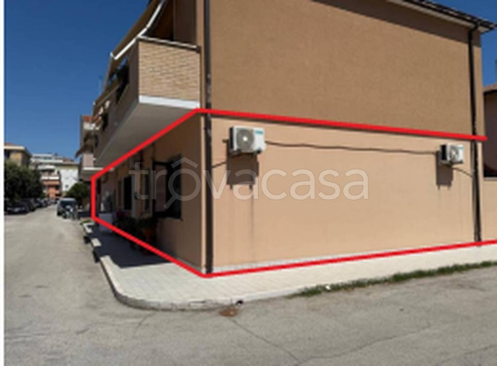 immagine annuncio 7 di 11