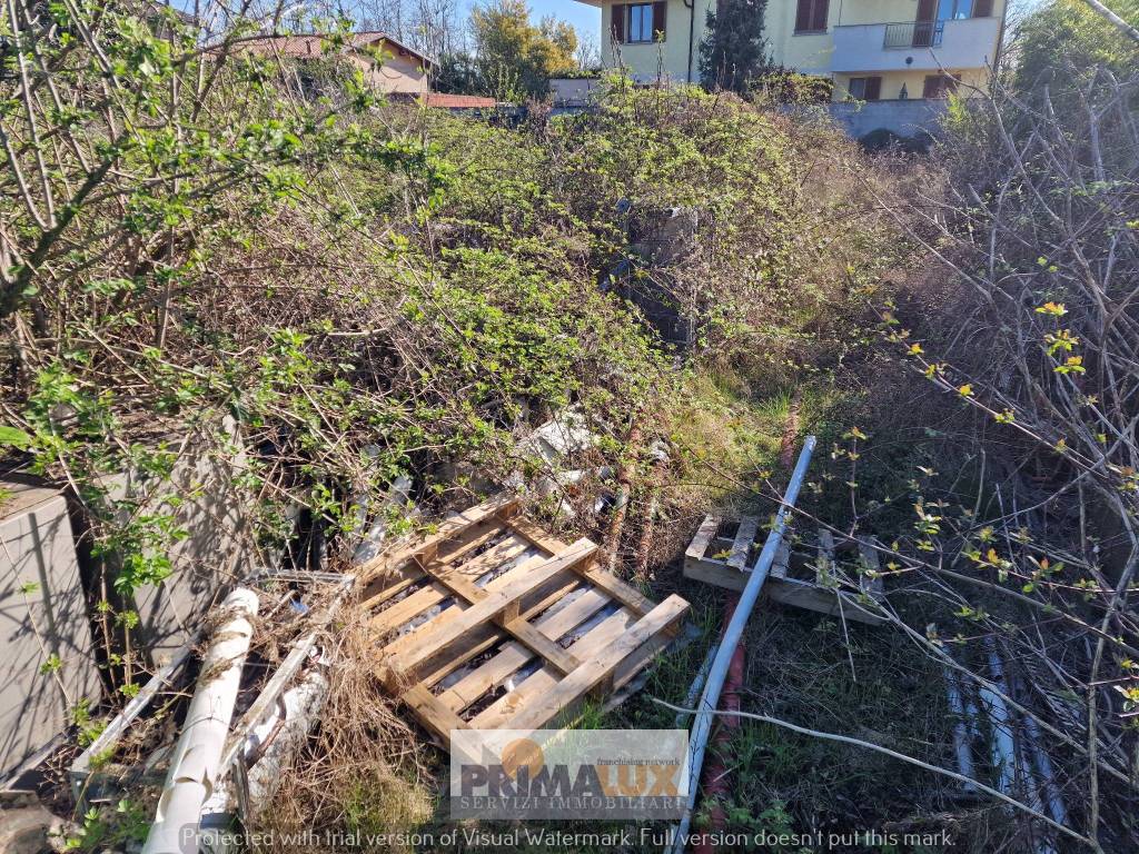 immagine annuncio 1 di 4