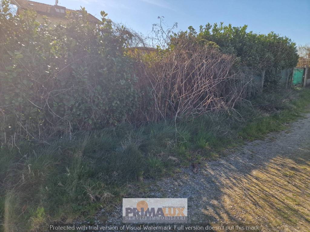 immagine annuncio 2 di 4