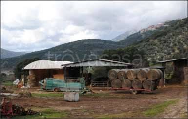 immagine annuncio 6 di 8