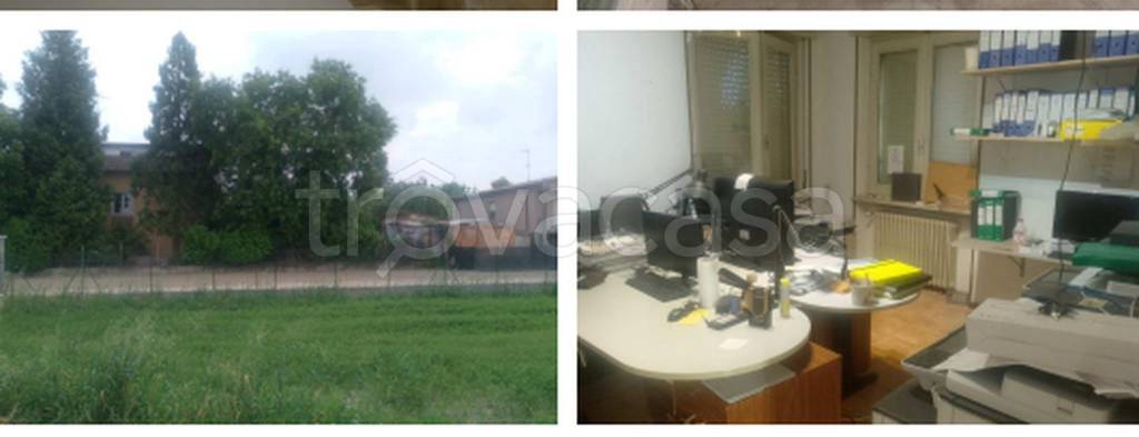 immagine annuncio 6 di 12