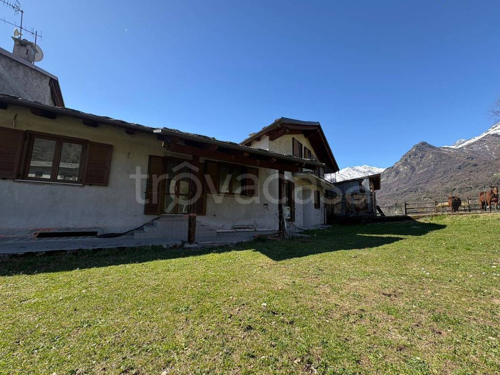 immagine annuncio 13 di 15