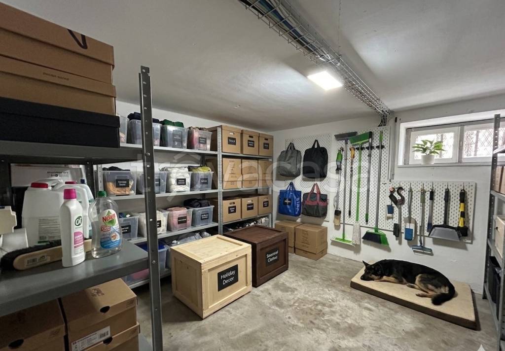 immagine annuncio 10 di 11