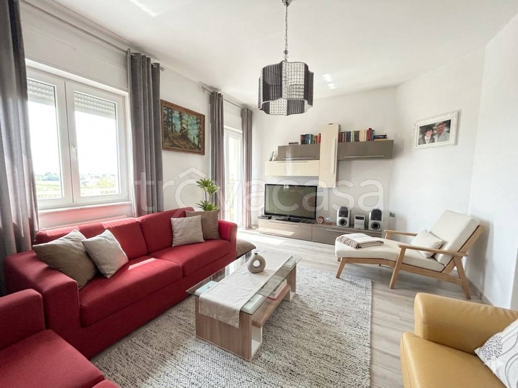 immagine annuncio 1 di 11