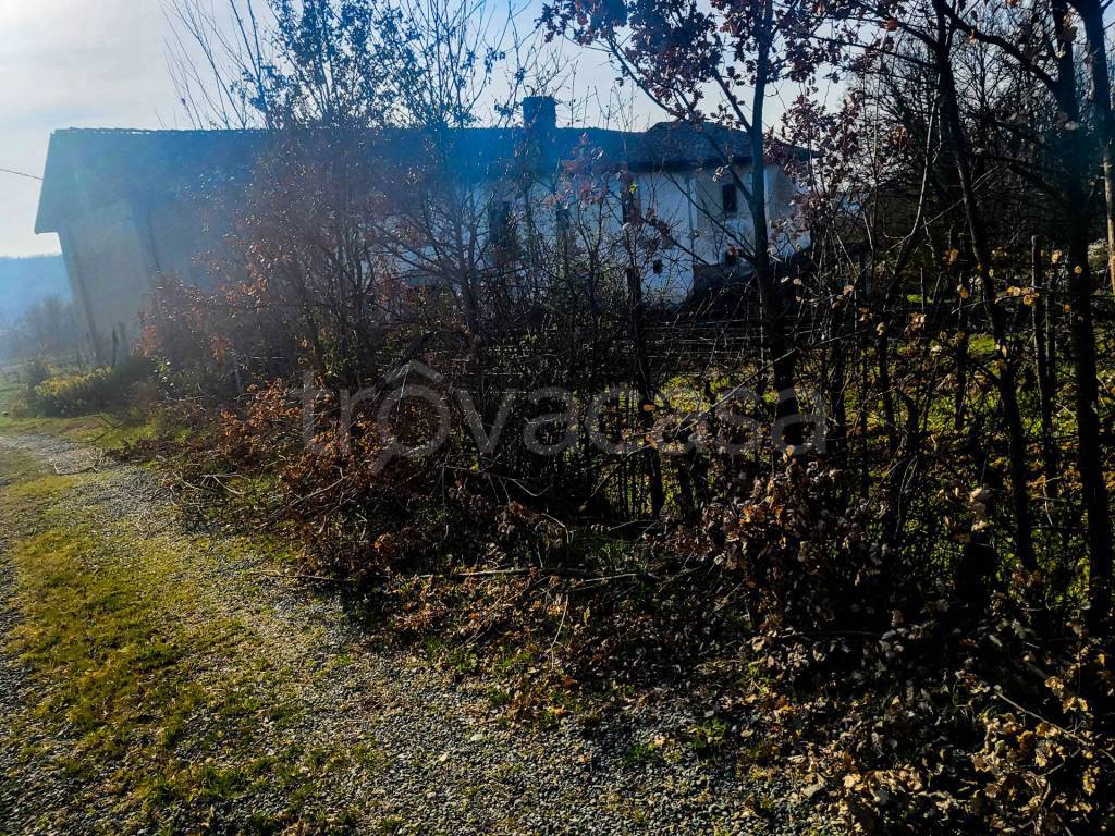 immagine annuncio 2 di 6