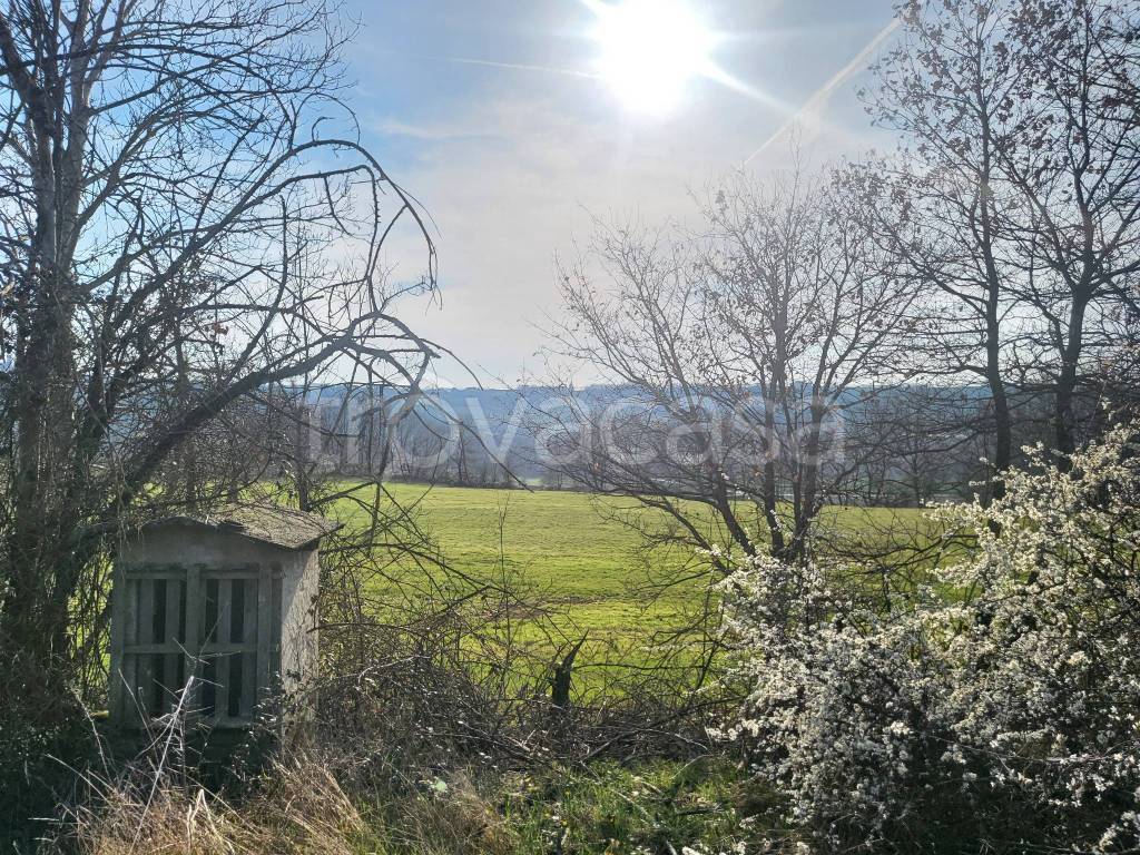 immagine annuncio 3 di 6