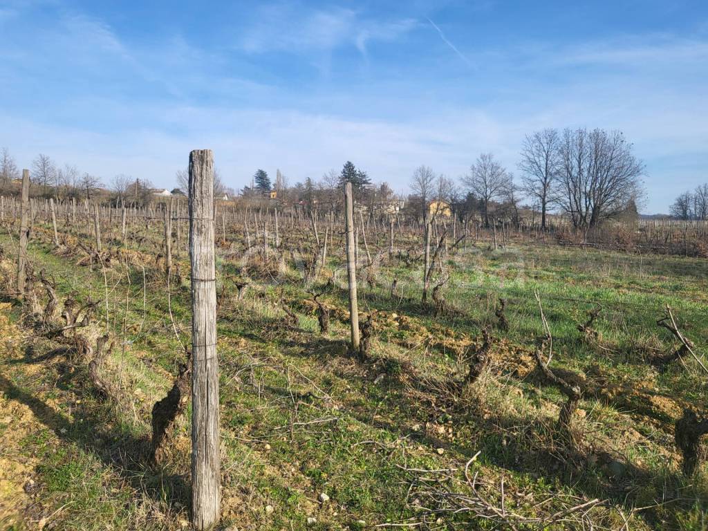 immagine annuncio 5 di 6