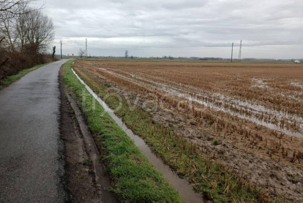 immagine annuncio 5 di 11