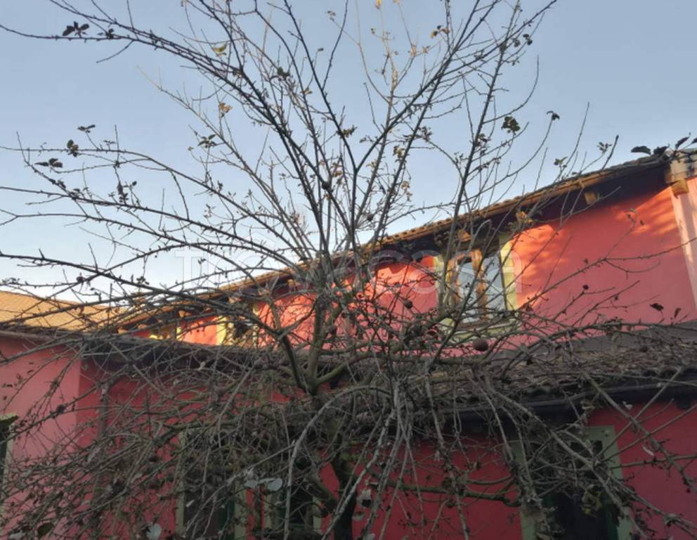 immagine annuncio 9 di 11