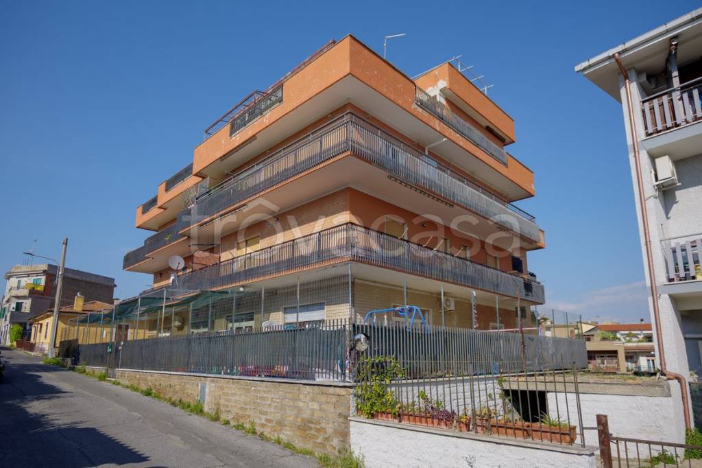 immagine annuncio 11 di 12