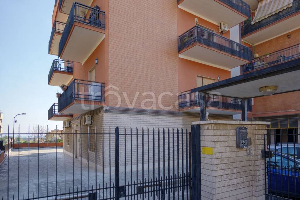 immagine annuncio 2 di 12