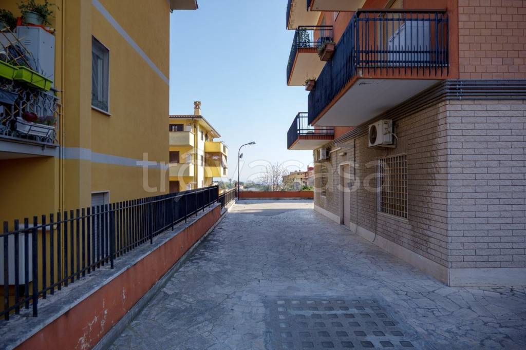 immagine annuncio 3 di 12