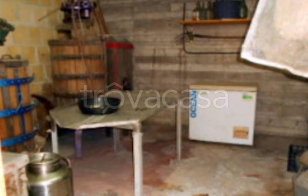 immagine annuncio 6 di 12