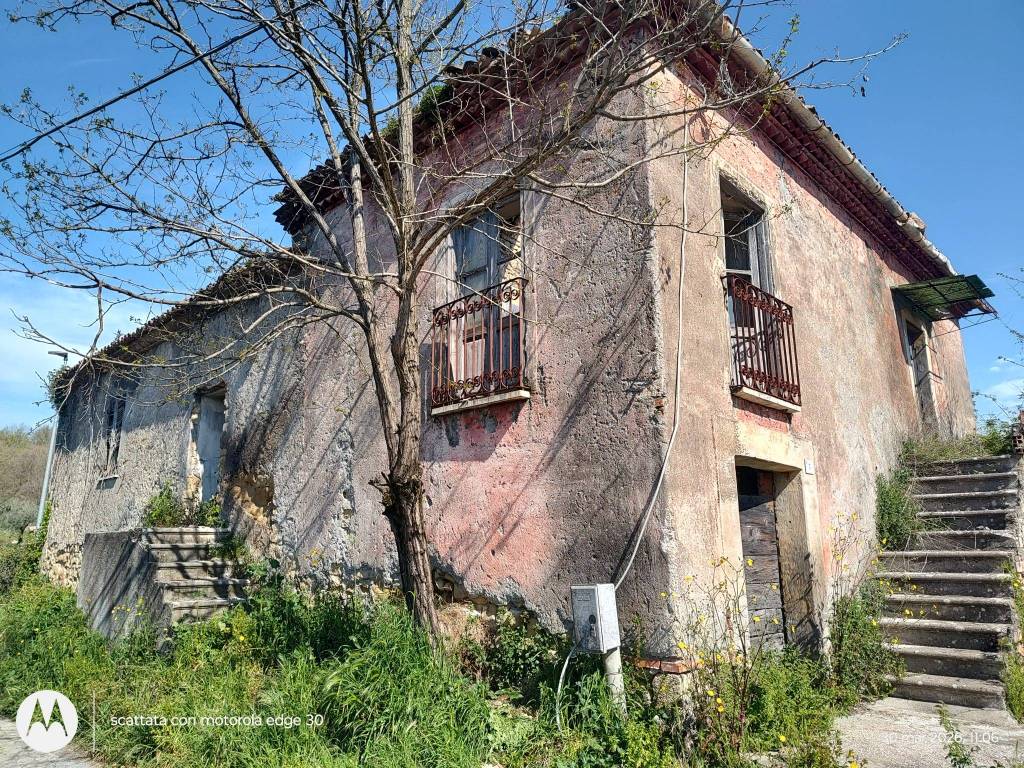 immagine annuncio 3 di 9