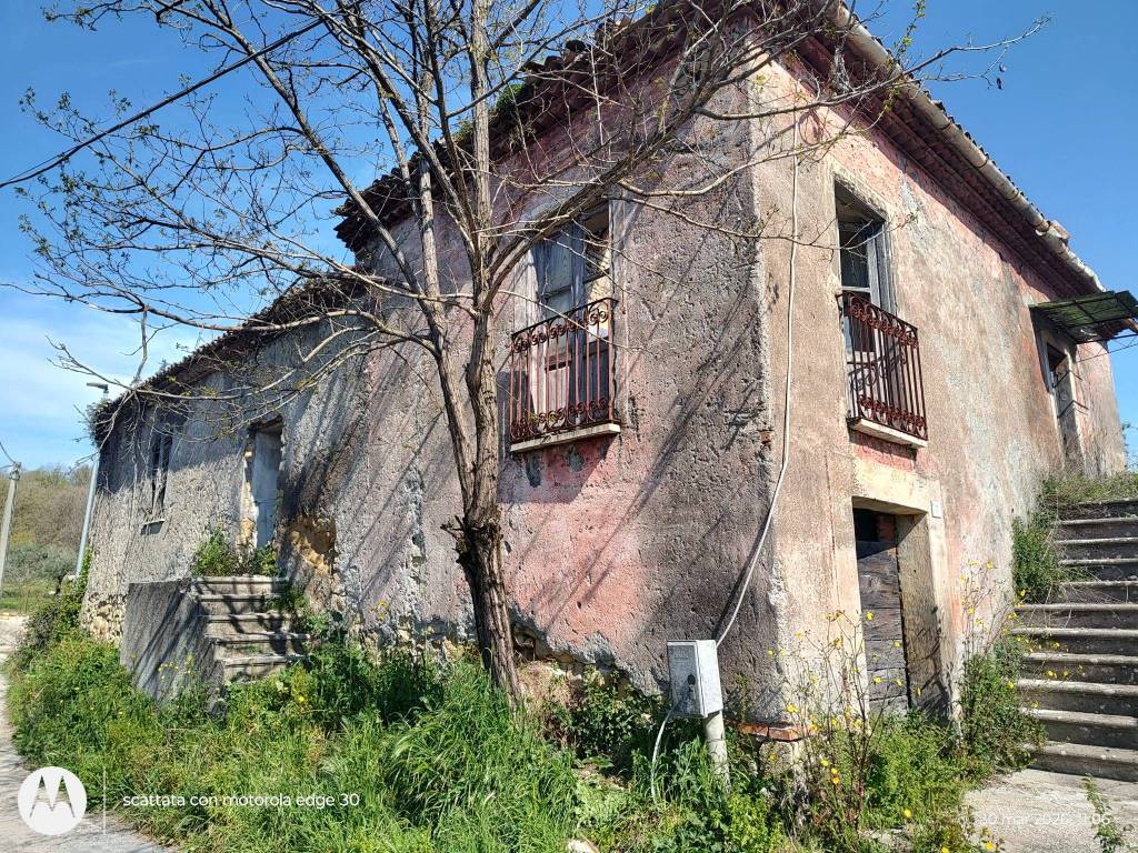 immagine annuncio 7 di 9