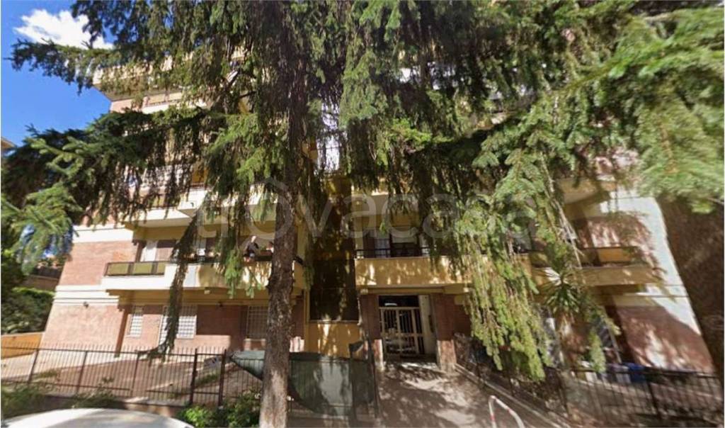 immagine annuncio 1 di 6