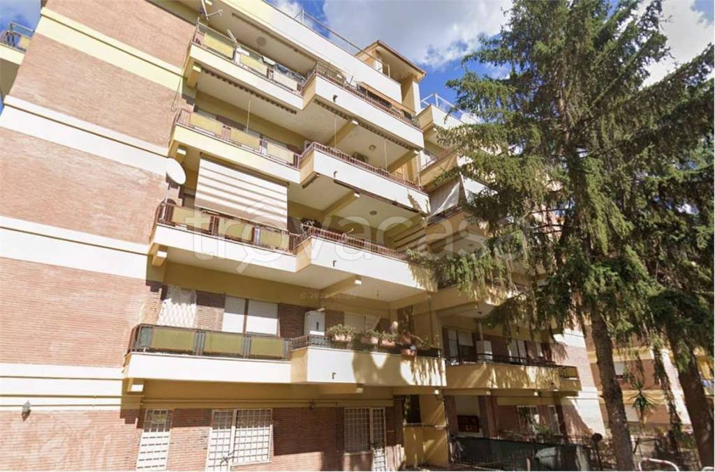 immagine annuncio 4 di 6