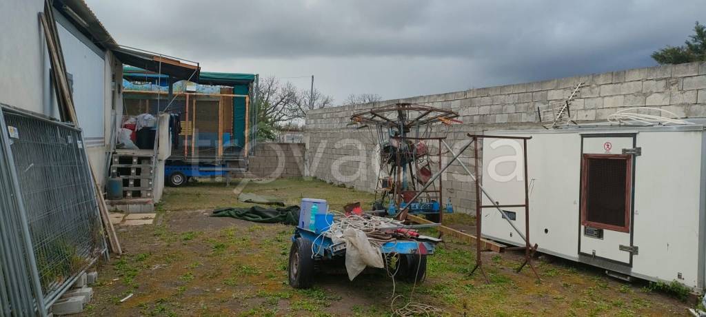 immagine annuncio 5 di 8